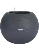 6LECPU502