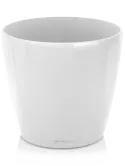 6LECR5052