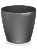6LECR6056