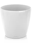 6LECR6061