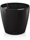 6LECR6089