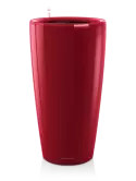 6LECRO365