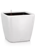 6LECVL351