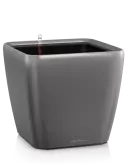 6LECVL352