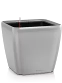 6LECVL353