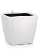 6LECVL501
