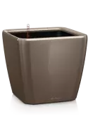 6LECVL505