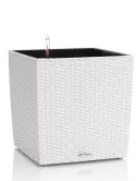 6LECZTCU41