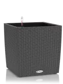 6LECZTCU42