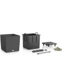 6LECZTCU42_1