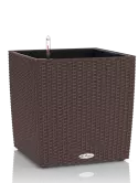 6LECZTCU43