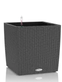6LECZTCU52