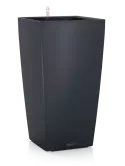 6LECZTK3L