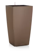 6LECZTK4N