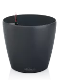 6LECZTR4L