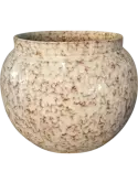 6LIMANOG5