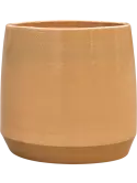 6LIMCOP37