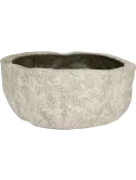 6LIMEDS00