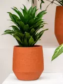 6LIMHUPT4_3