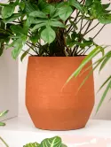 6LIMHUPT5_2