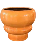6LIMJUMO2
