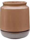 6LIMMOR08