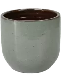 6LIMSUK15