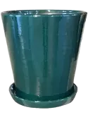 6LIMVIBP4
