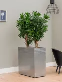 6LUPR60SL_1