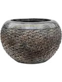 6LXLALG32