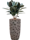6LXLAMC53_1