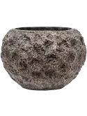 6LXLAMG32