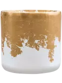 6LXLGWC31
