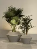 6MAZOYM01_1
