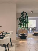 6MAZOYM02_2