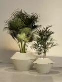 6MAZOYM04_1