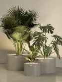 6MAZTAM01_1