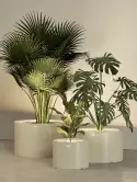6MAZTAM04_1