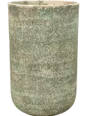 6MBPTCG01