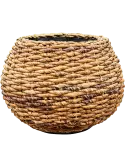 6MND05980