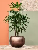 6MTLC50CB_2
