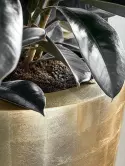 6MTLPG120_3