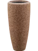6NACNAP31