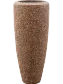 6NACNAP38