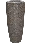 6NACNAP50