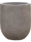 6NUCCEG31