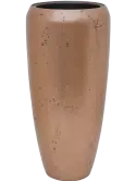 6OPSP36RG