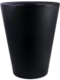 6OTIOL8BL