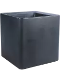 6OTIQU6AN