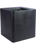 6OTIQU6BL
